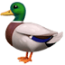:duck: :duck: