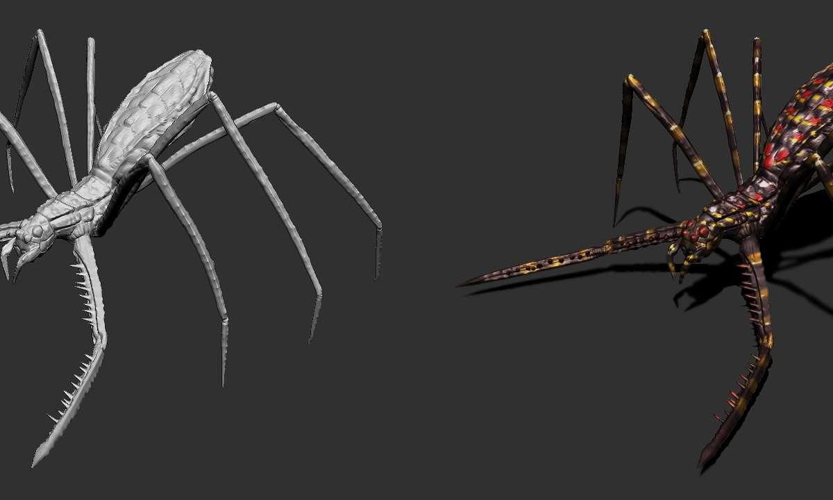 spider-large.jpg