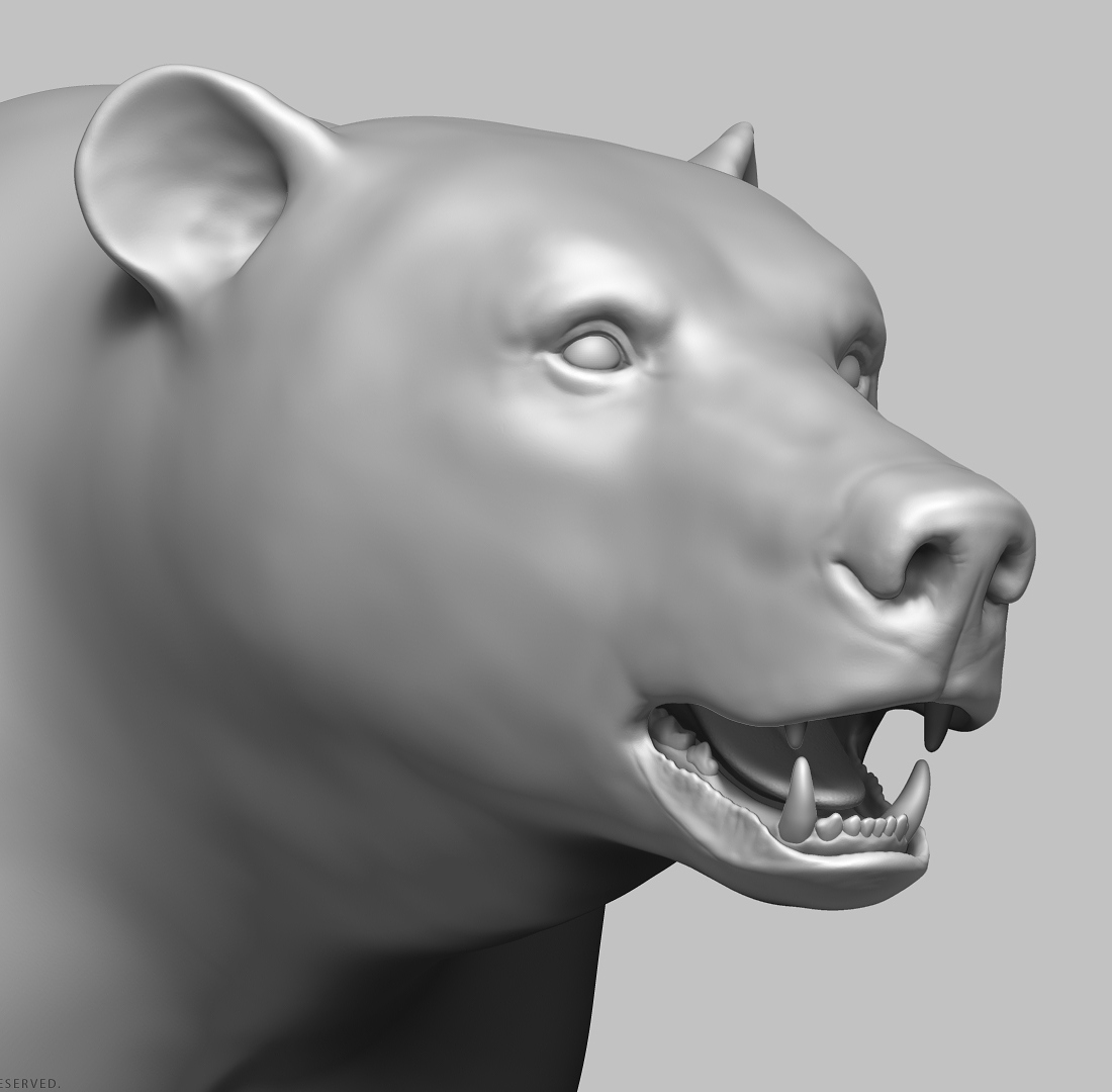 manuelf3d-Brown-Bear-Highpoly-sculpt-3.jpg