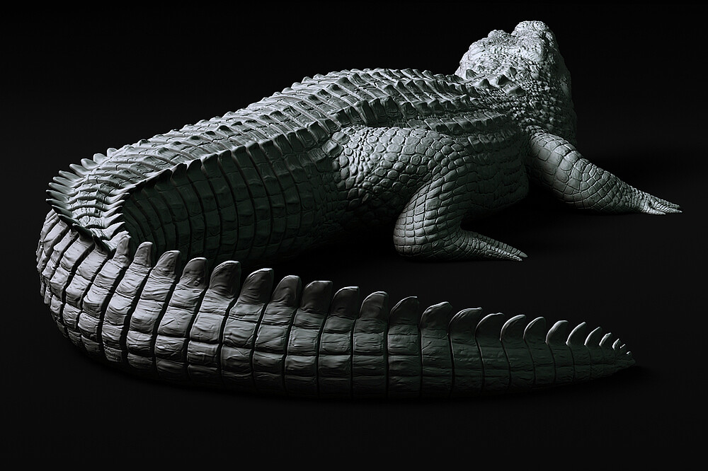 Alligator.03.jpg
