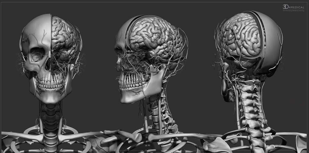 Complete Anatomy - ZBrushCentral