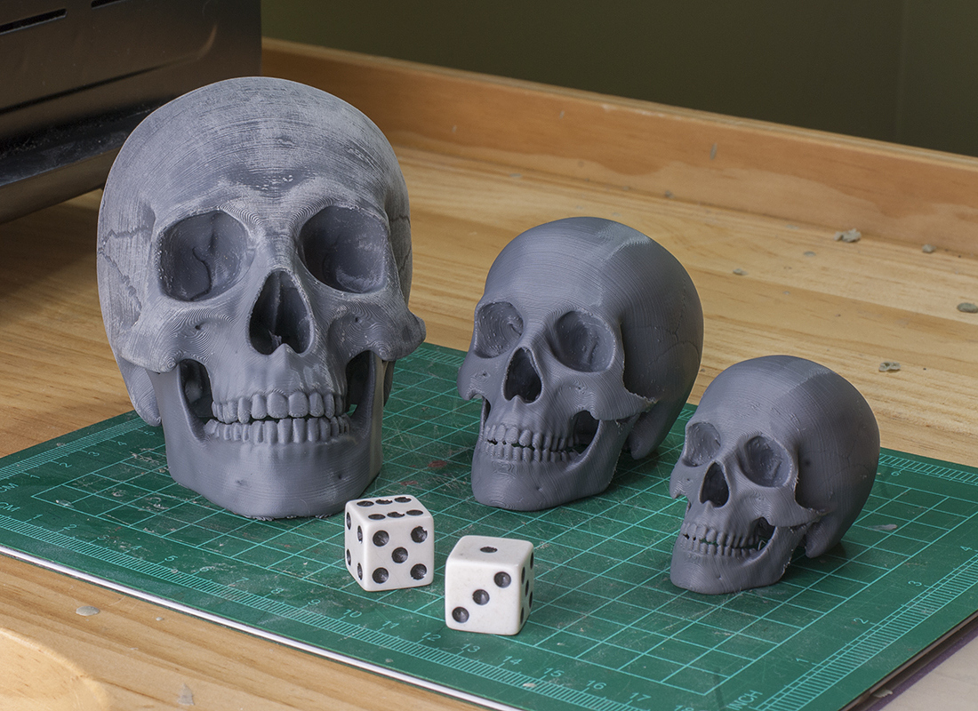 lrg-3dprint-skulls001.jpg