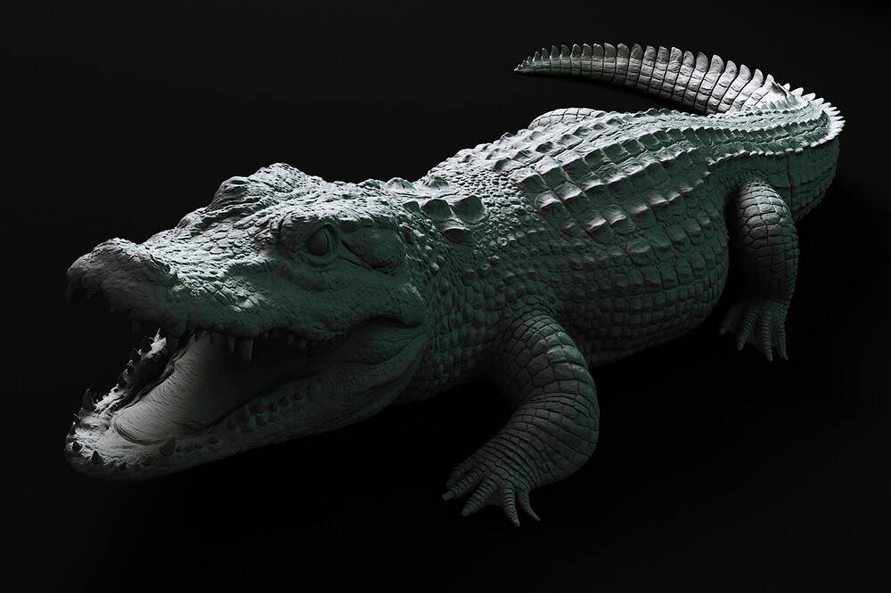Alligator.02.jpg
