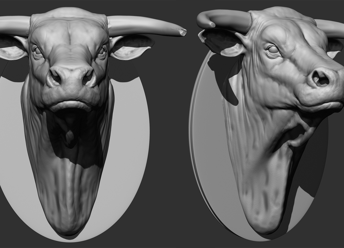 Bull_head.jpg