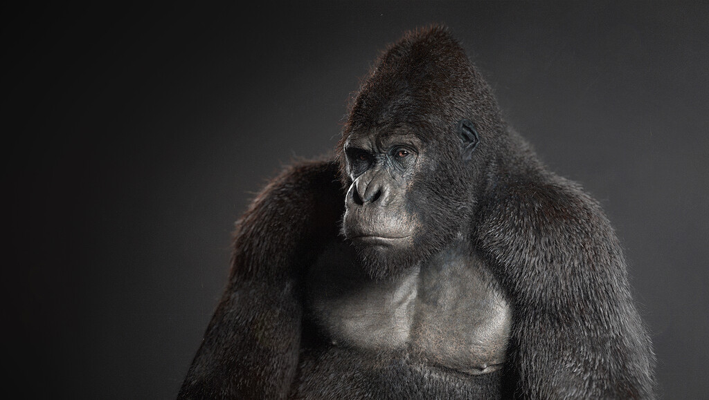PlanetXギガソン GIGATHON GID WHITE ANGRY APE PLANETX GIGATHON (GID WHITE ANGRY APE) planet x sofubi