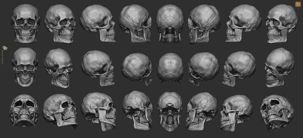 human-skull_Souvik