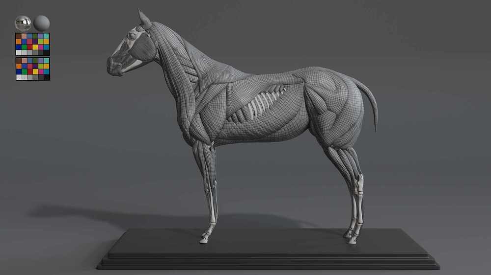 Horse_wireframe01