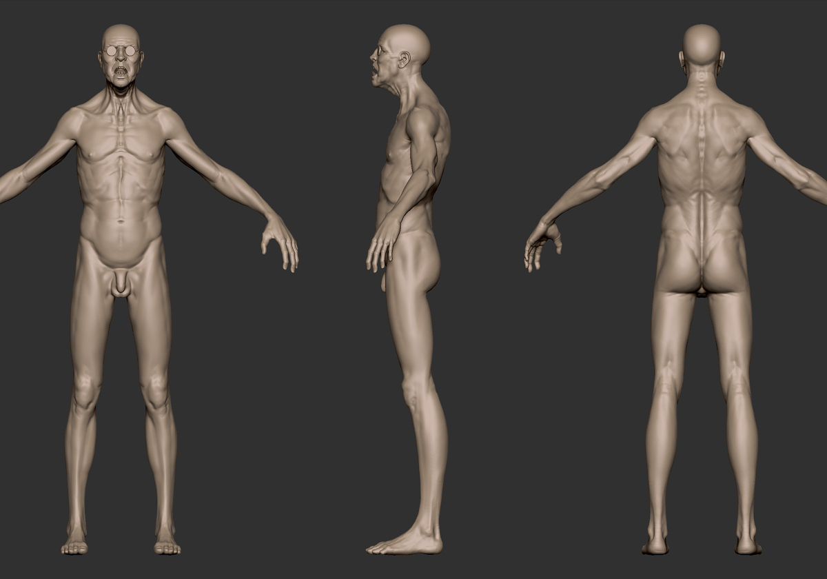 02_AnatomyBlockout.jpg