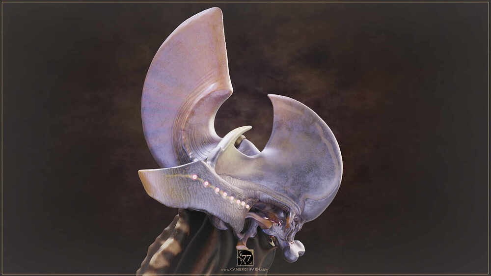 C77-WORS-Sml-InPro_0002_www.CAMERONFARN.com