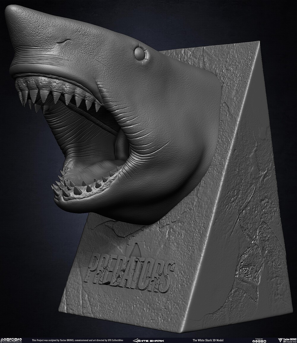 The White Shark Discovery sculpted by Yacine BRINIS 008