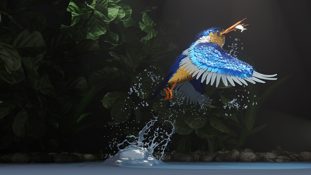 kingfisher5