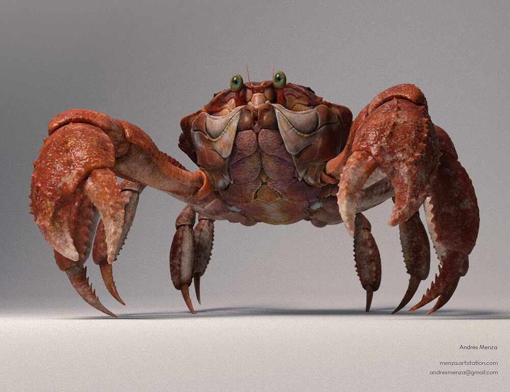 Crab_final_02