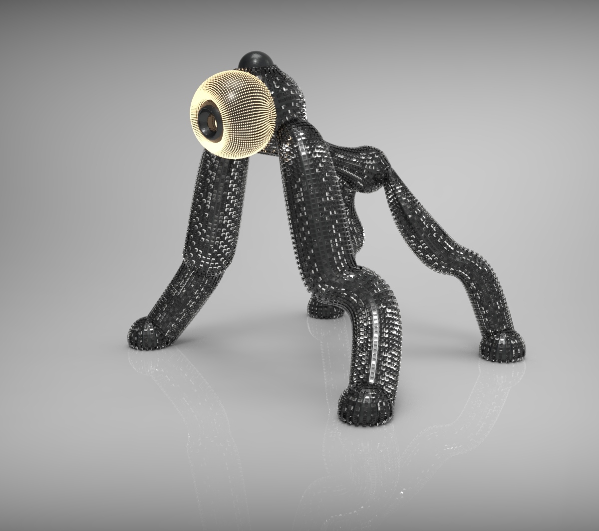 srobo.282.jpg