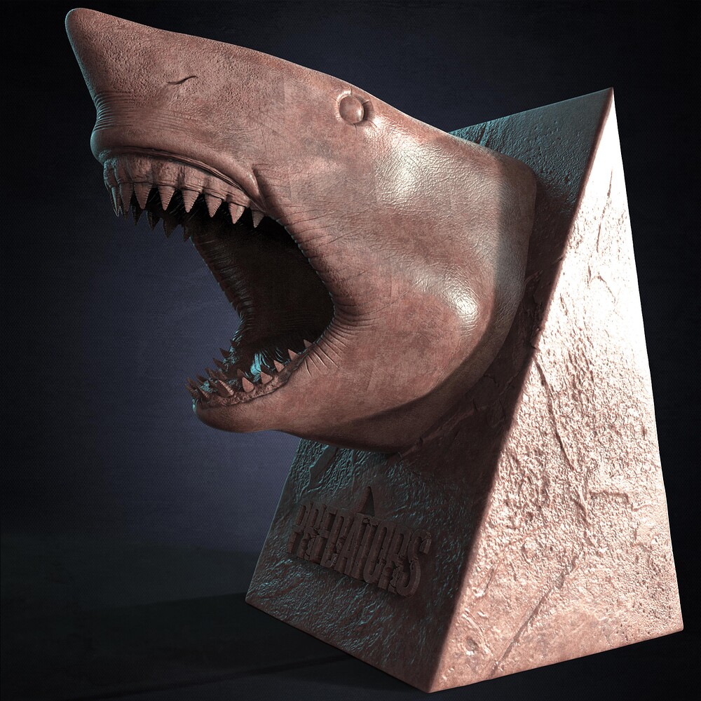 The White Shark Discovery sculpted by Yacine BRINIS 010