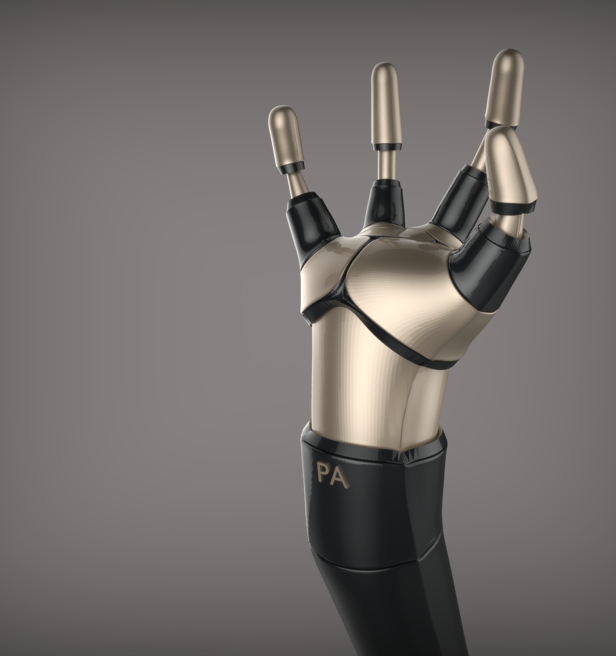hand.217.jpg