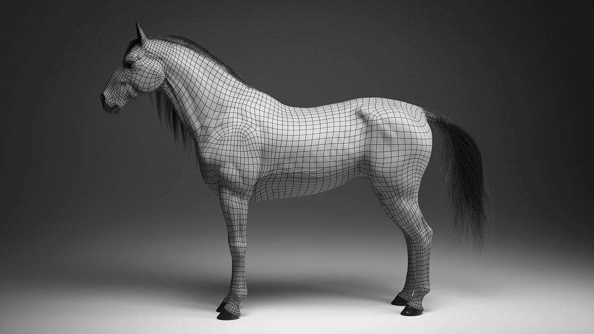 Horse_ (2 of 7)