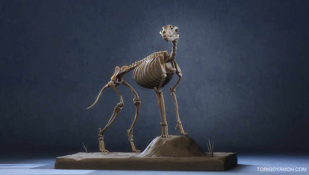 WolfSkeleton_Render_M