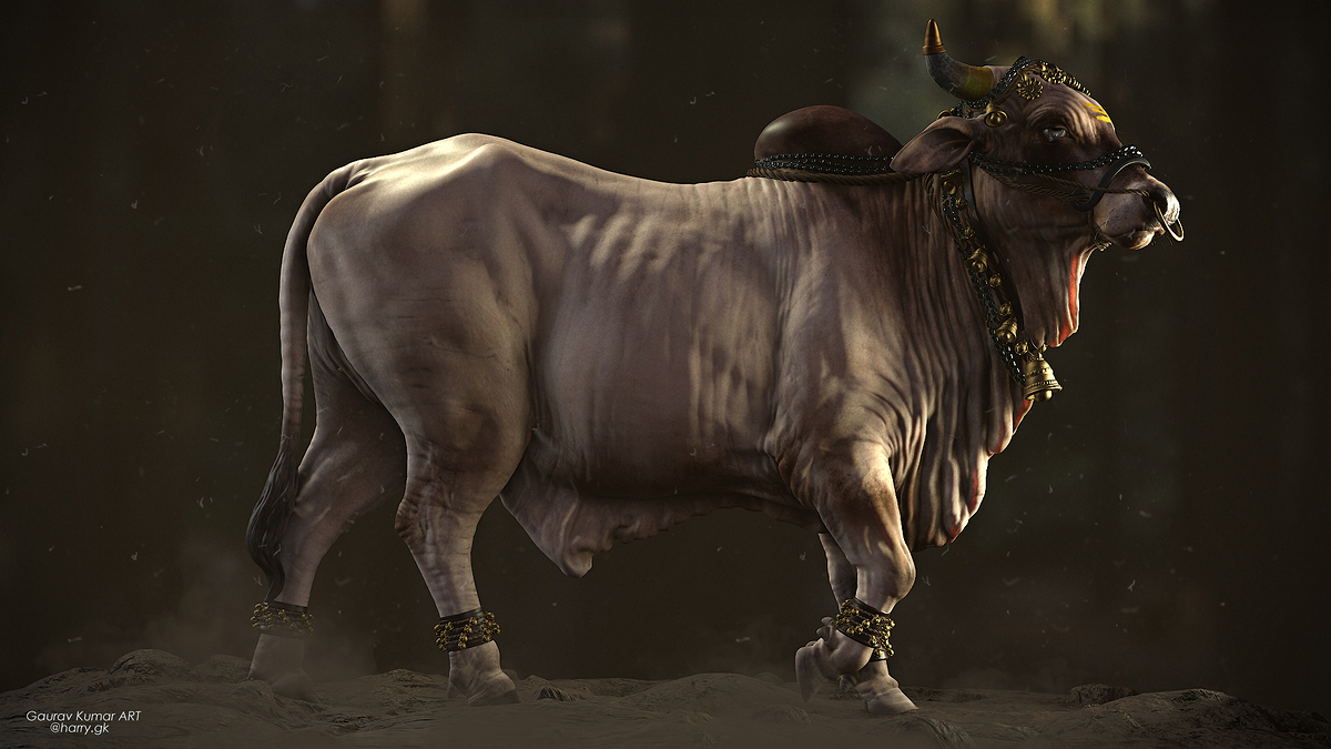 Bull__003