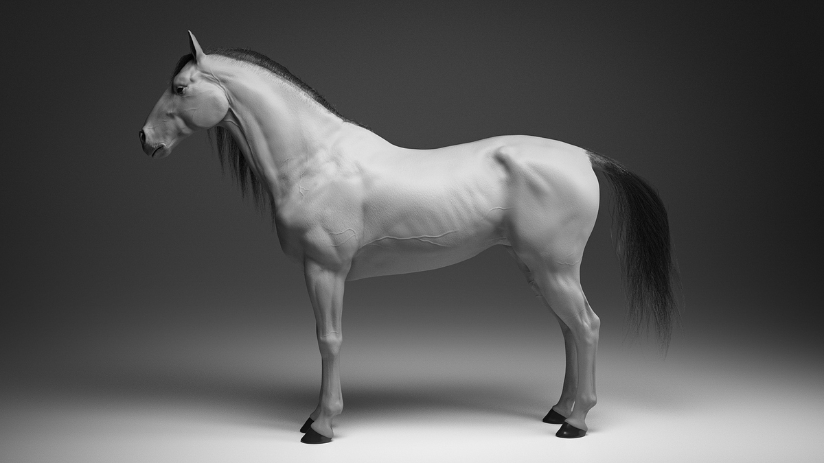 Horse_ (1 of 7)