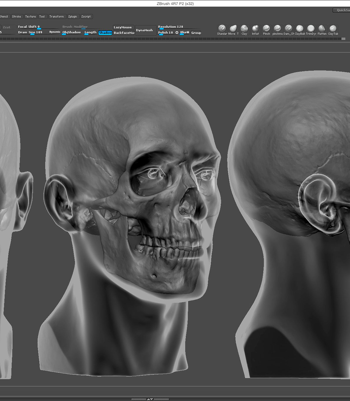 head+skull.jpg