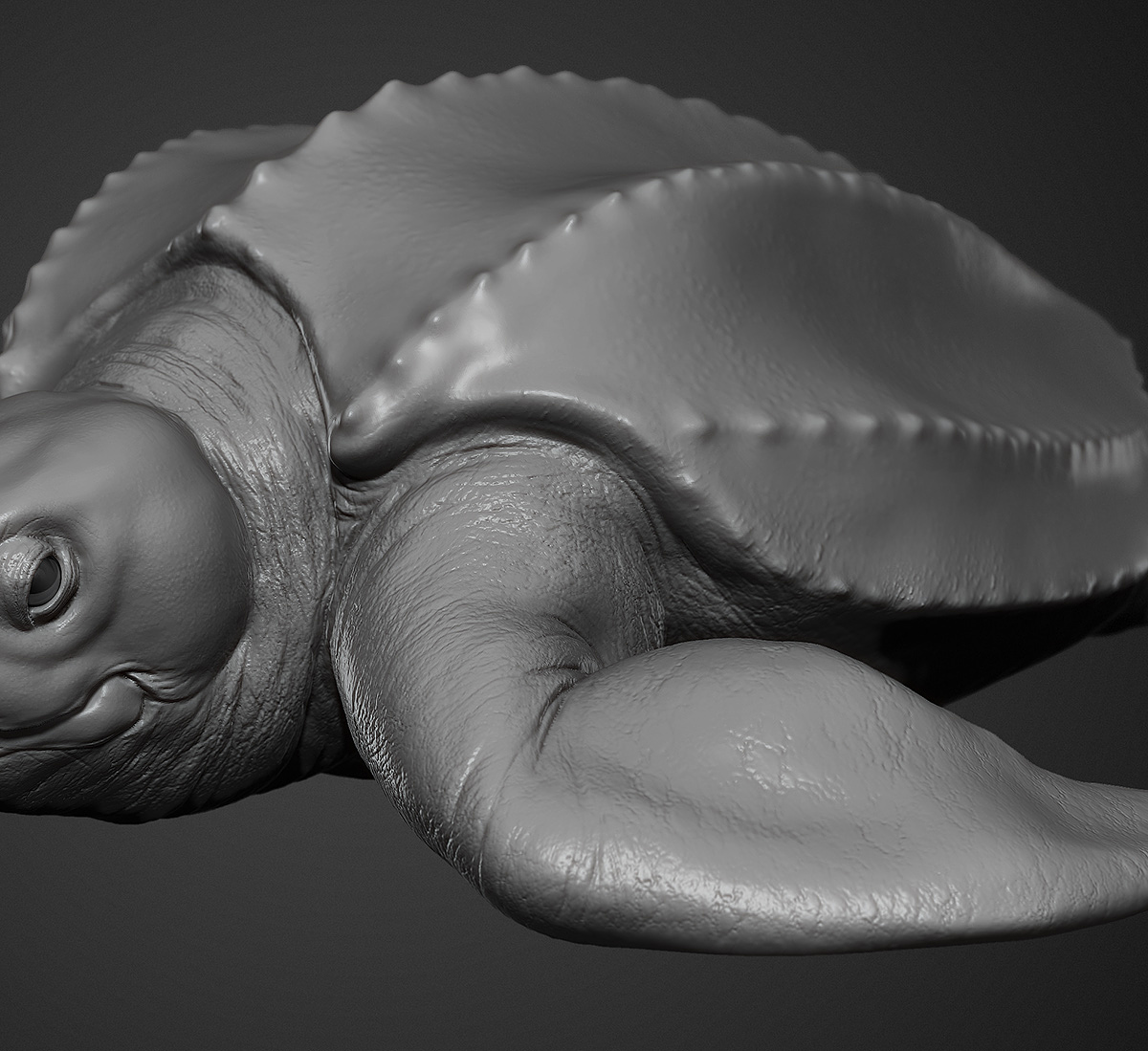San_Francisco_Zoo_Leatherback_Sea_turtle_Sculpture_002.jpg