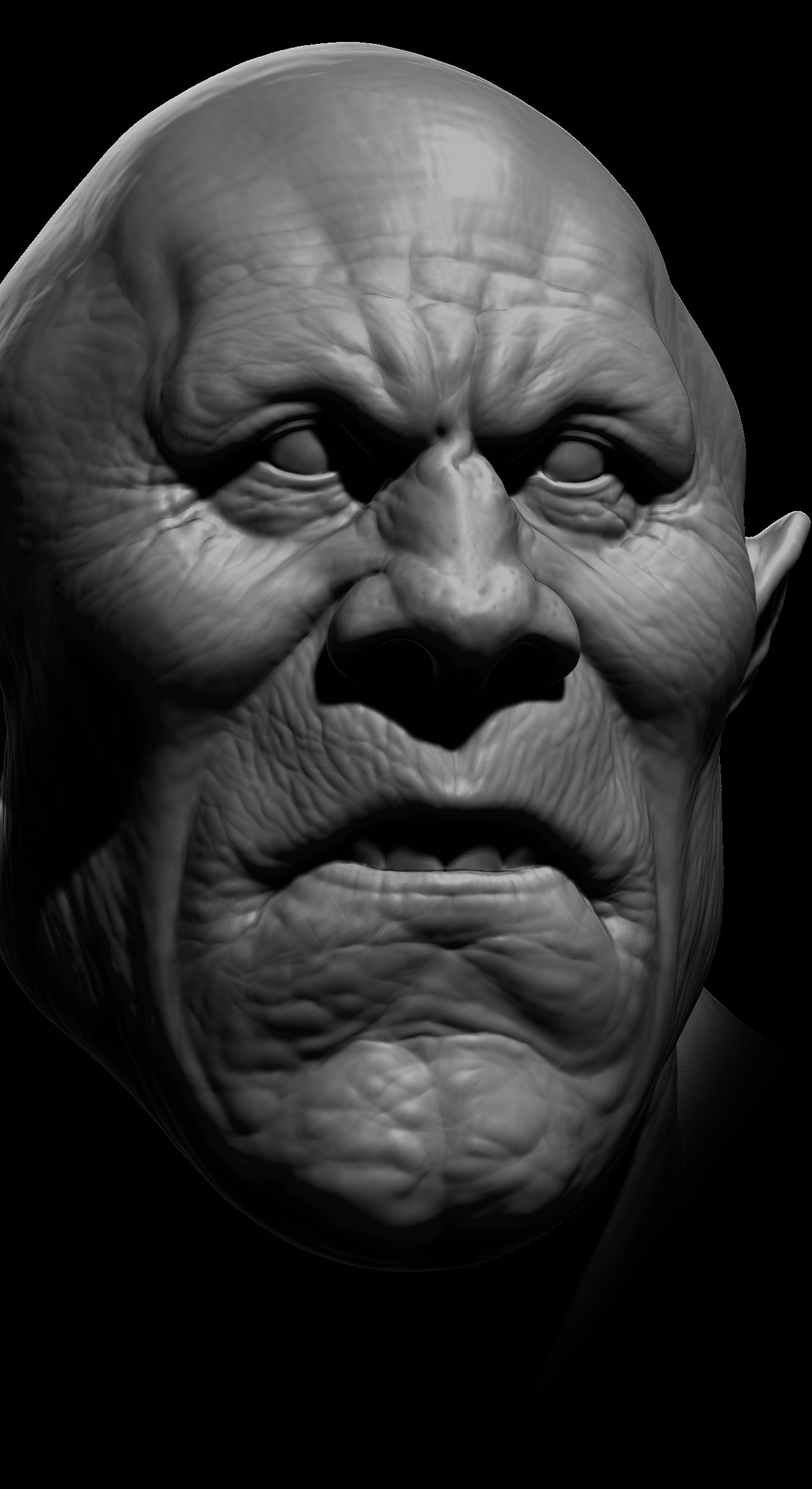 head j.jpg