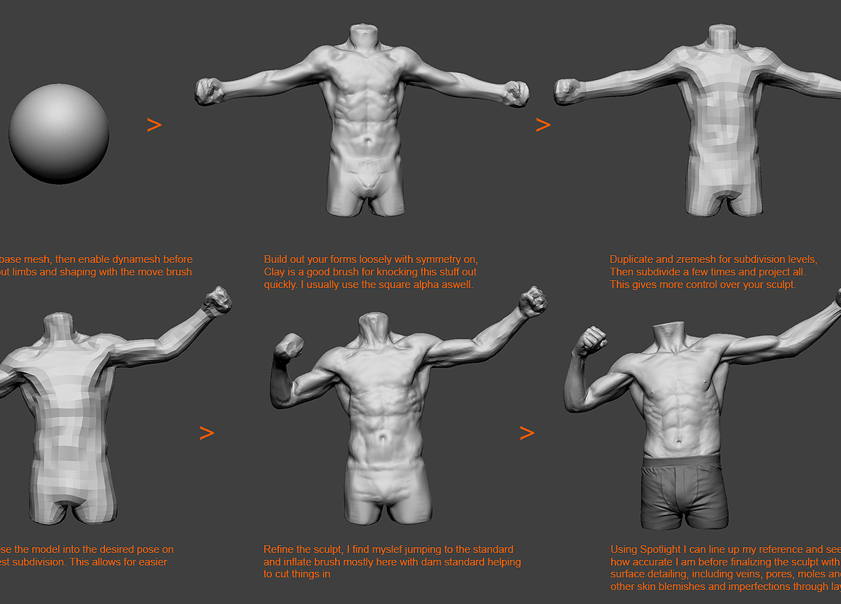 anatomy_study_process.jpg