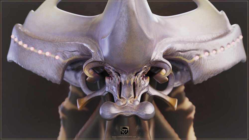 Alien Rider InPro-02a