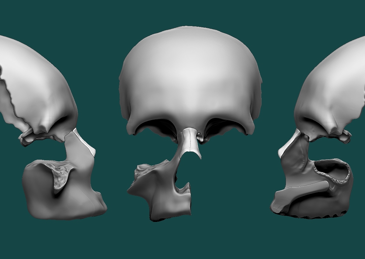 skull 4-15-2015.jpg