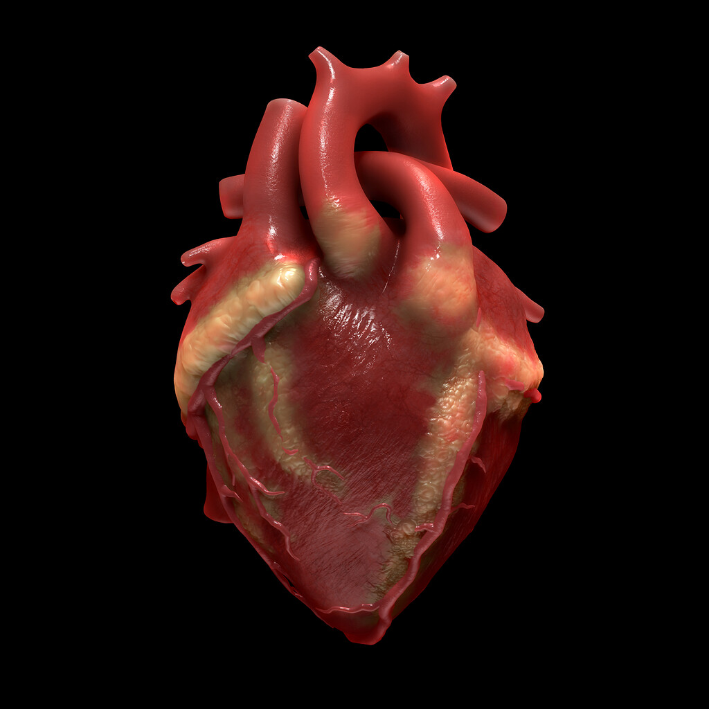 creating a human heart in zbrush