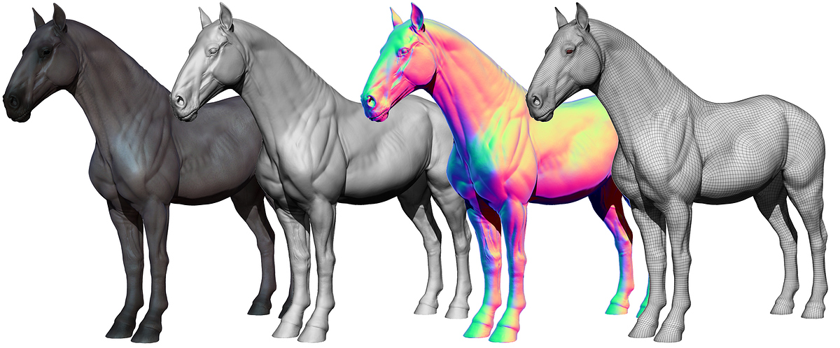 Horse-Body-3D-Model