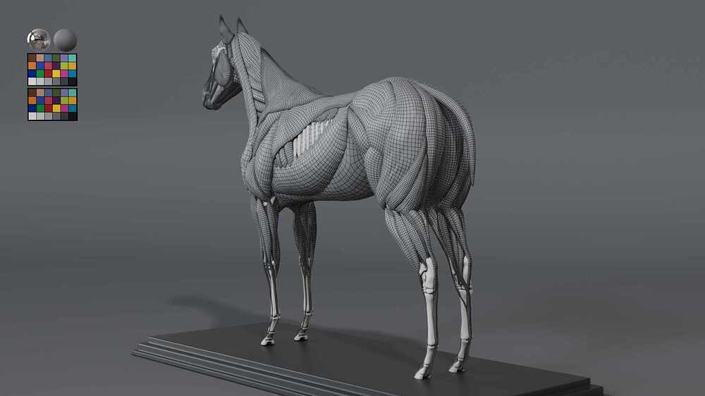 Horse_wireframe03