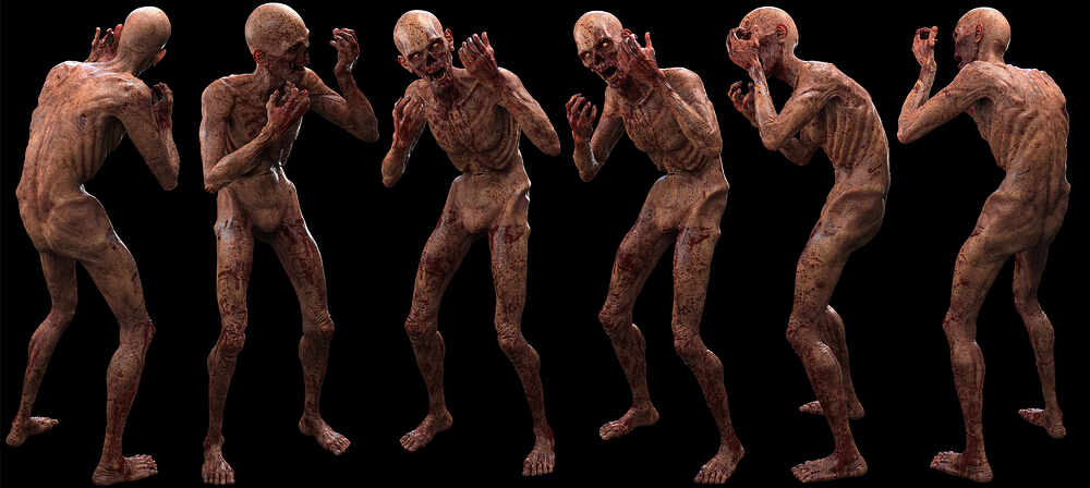 zombie_anatomy_comp