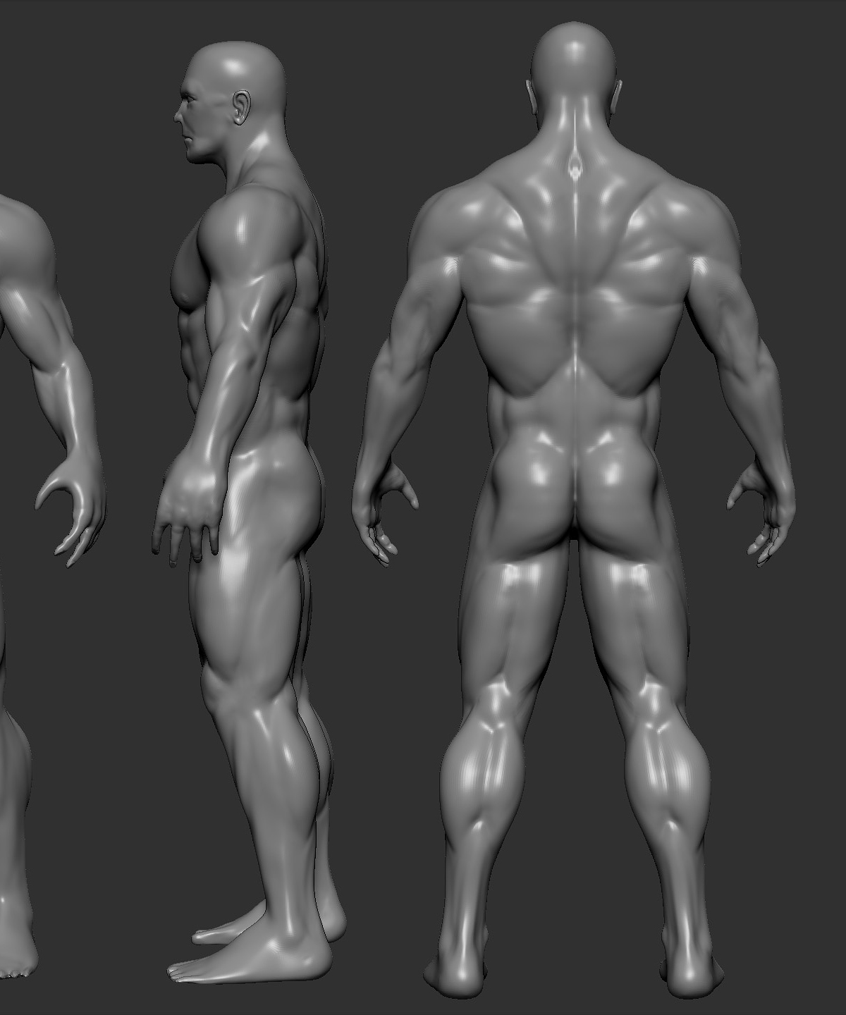 Anatomy Man update 2014.03.jpg