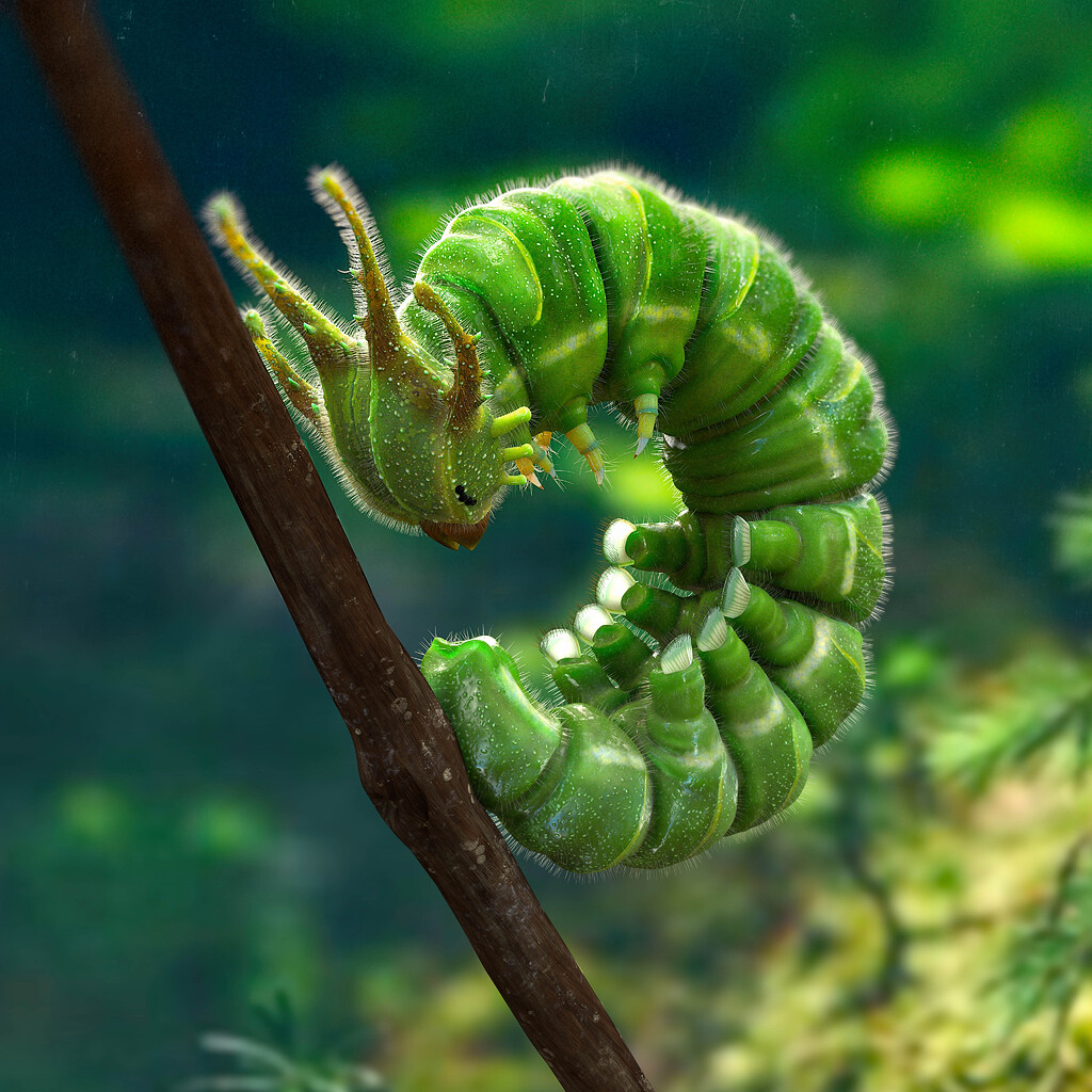 Dragon Head Caterpillar ZBrushCentral dragon-head-caterpillar-zbrushcentral
