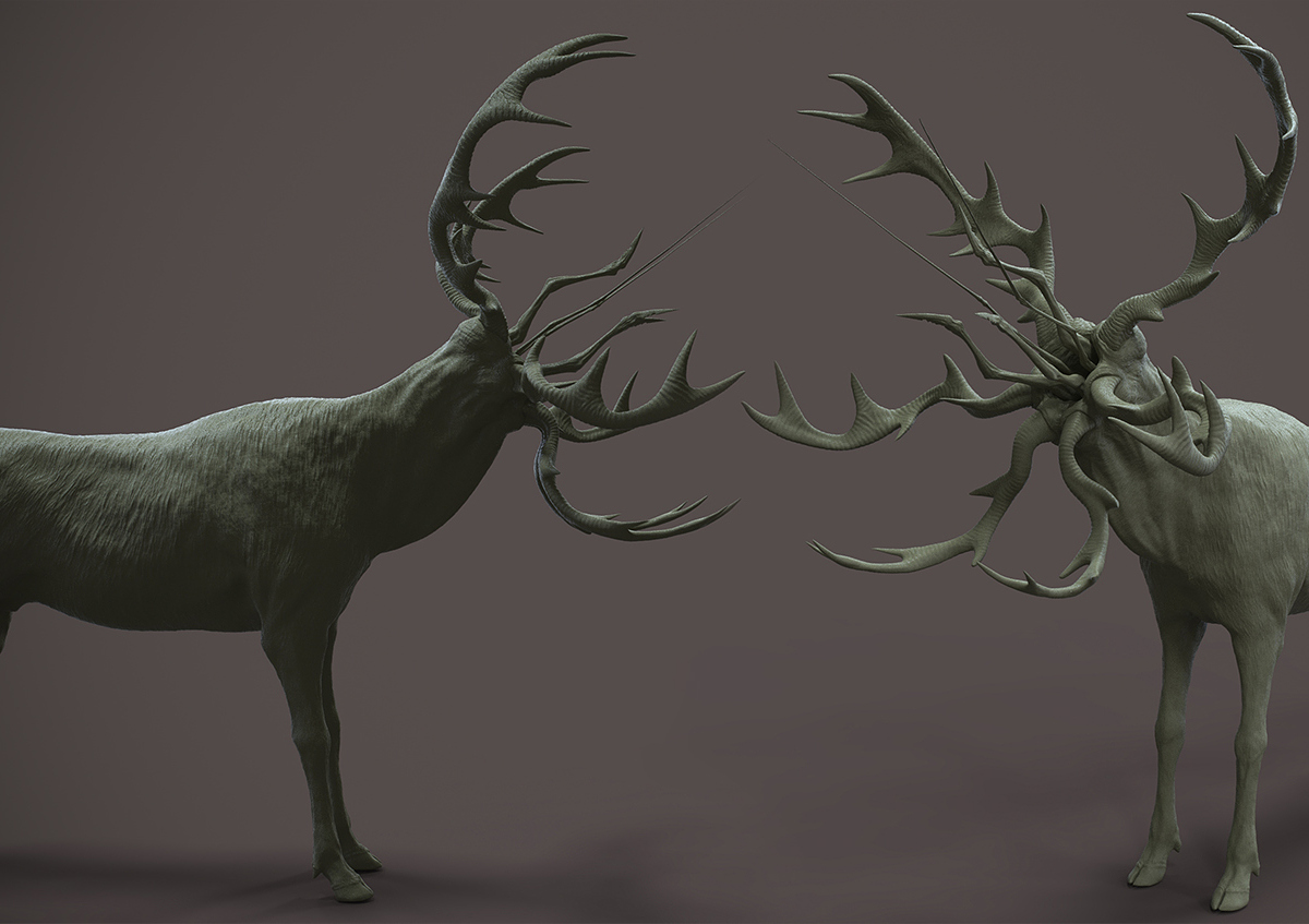 Cerf_mandibule_07.jpg