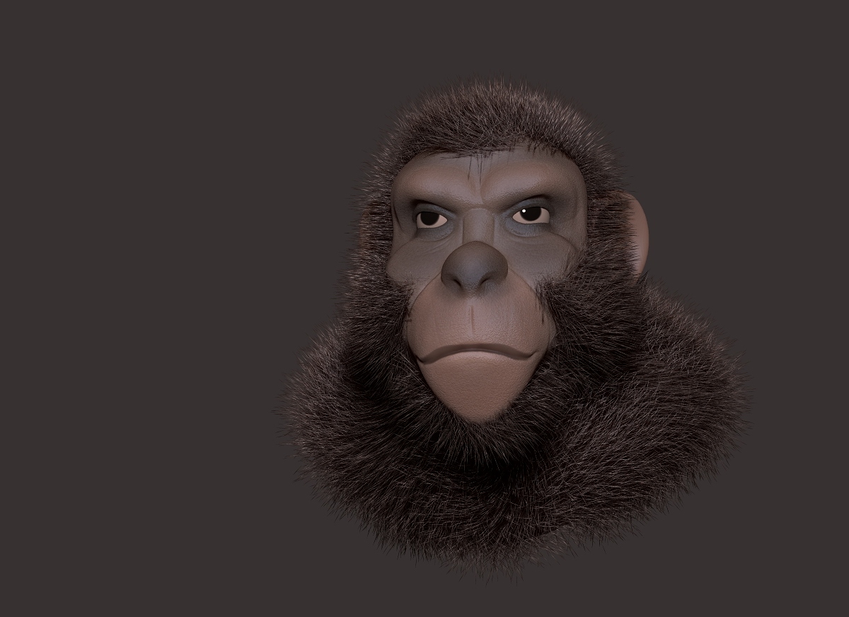 ape3.jpg