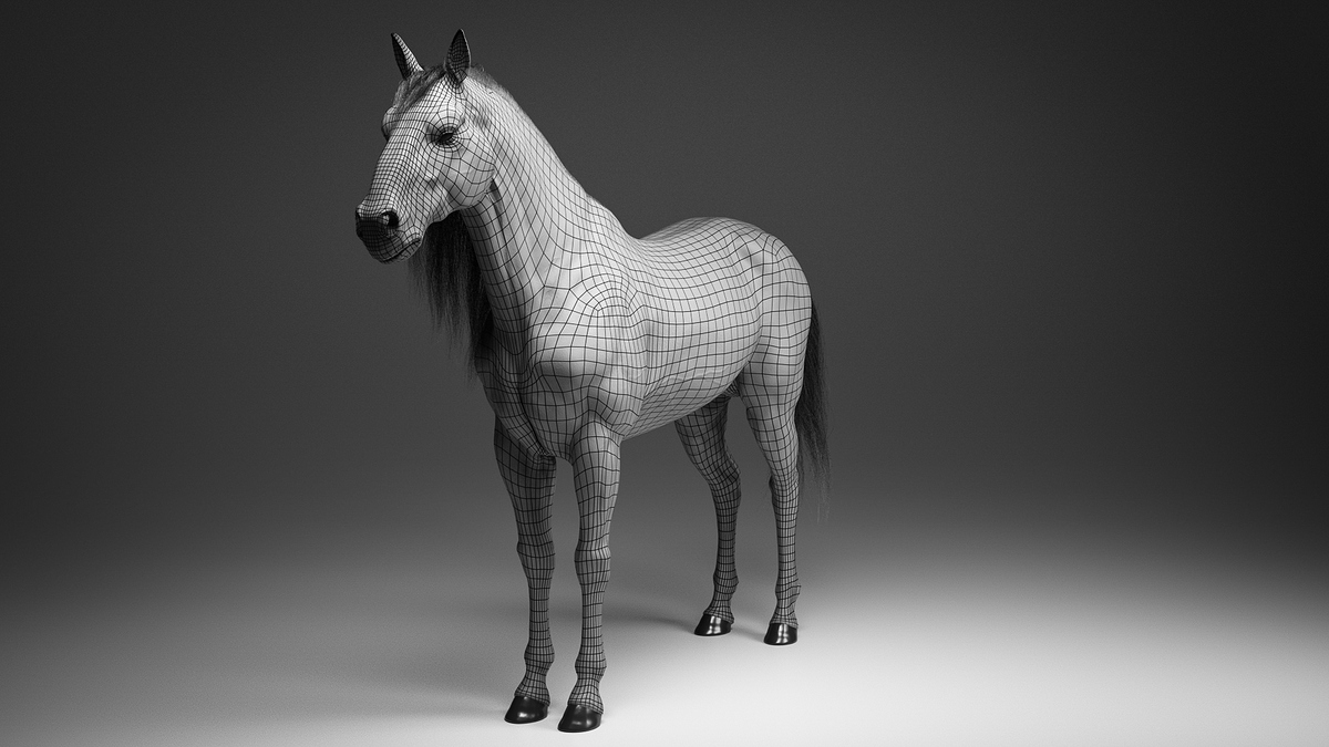 Horse_ (7 of 7)
