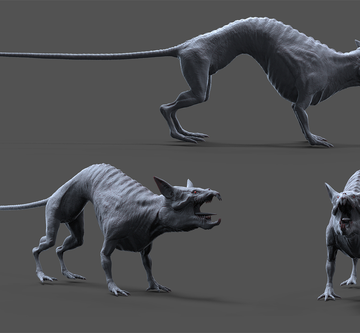 t_rat_03.jpg