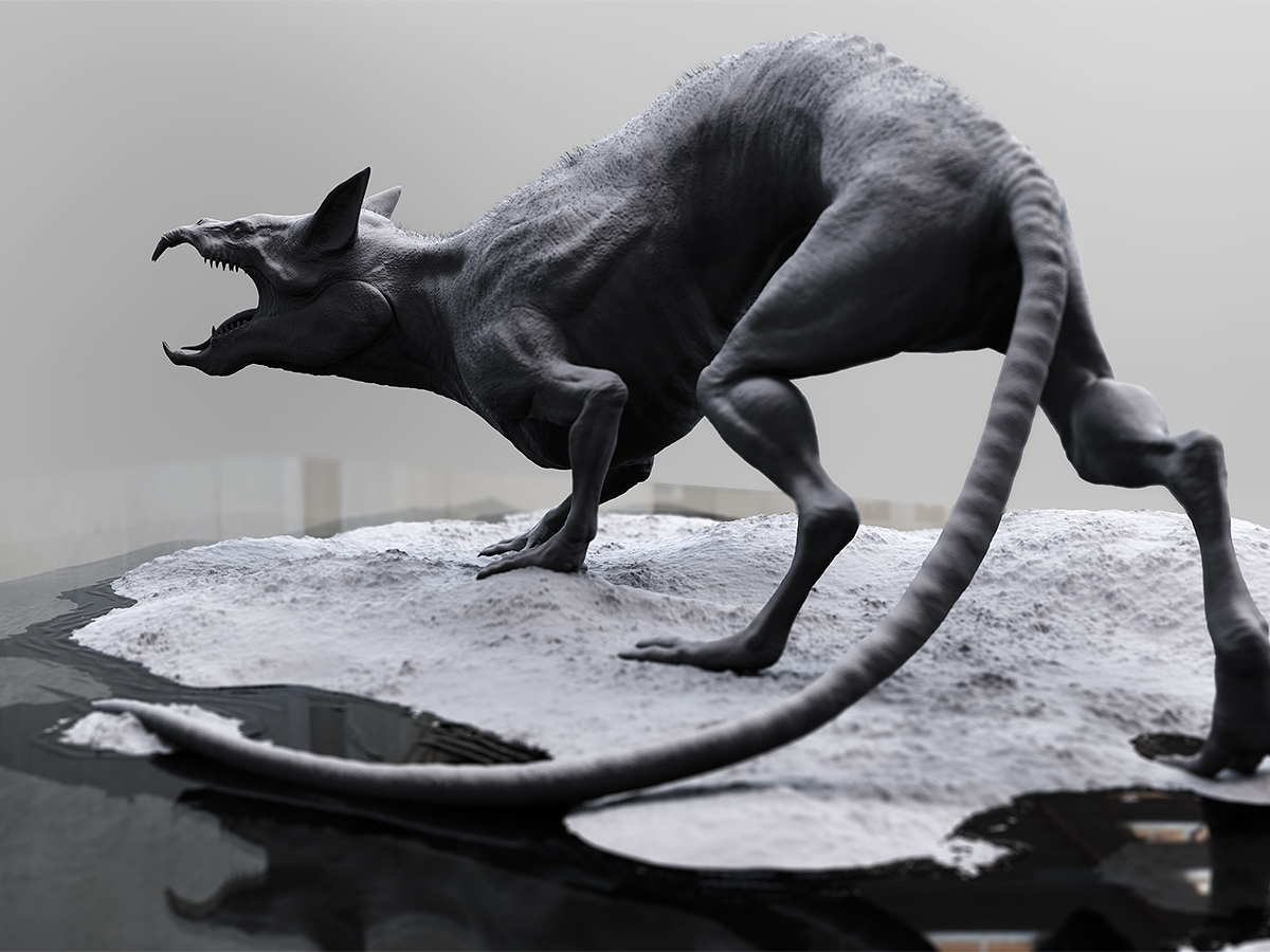 rat_BN.jpg