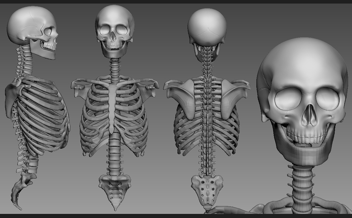 eskeleton.jpg