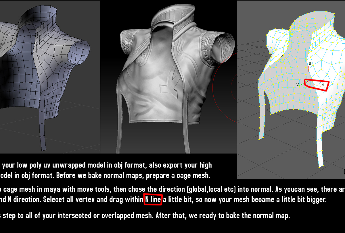 03b - caged mesh.jpg