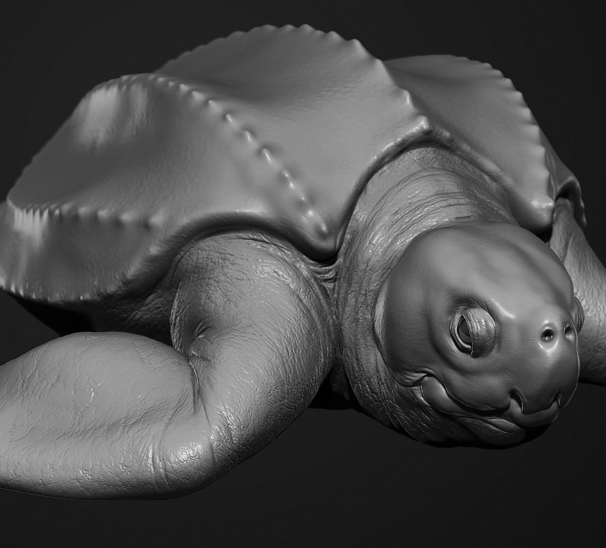 San_Francisco_Zoo_Leatherback_Sea_turtle_Sculpture_001.jpg