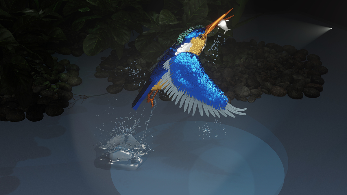 kingfisher7