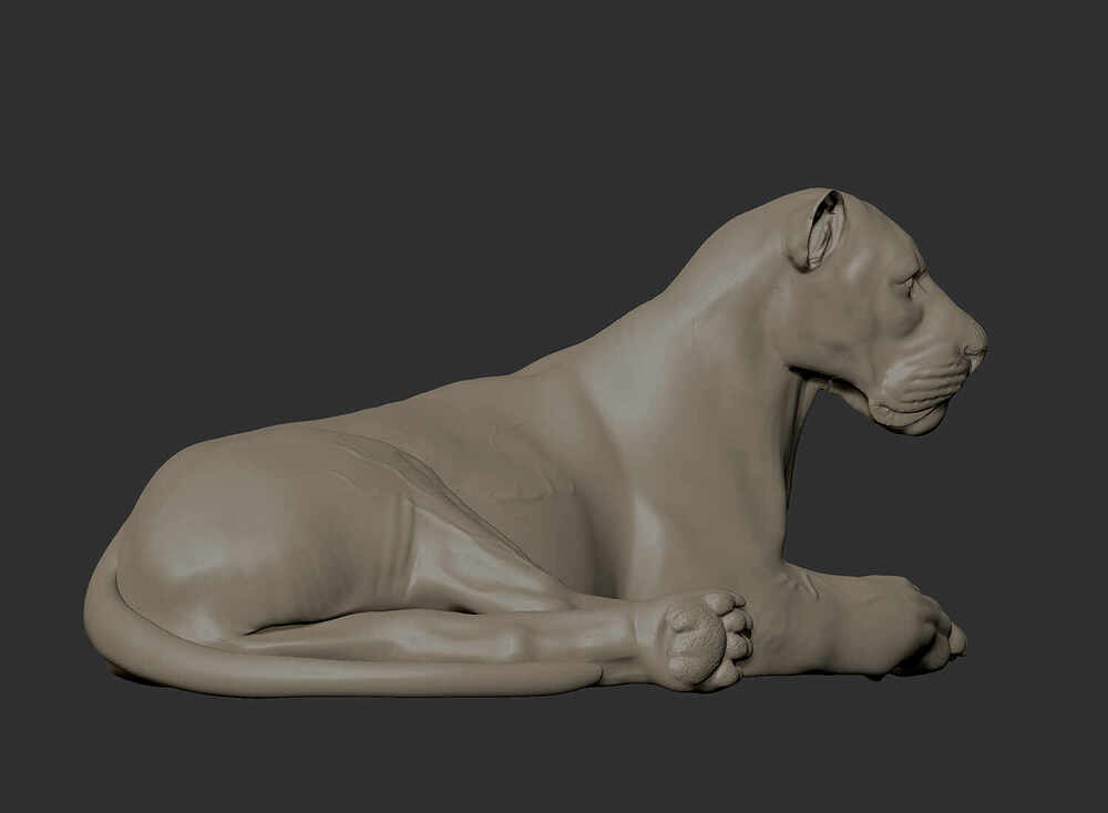 Lion_Clay_ZB_Side