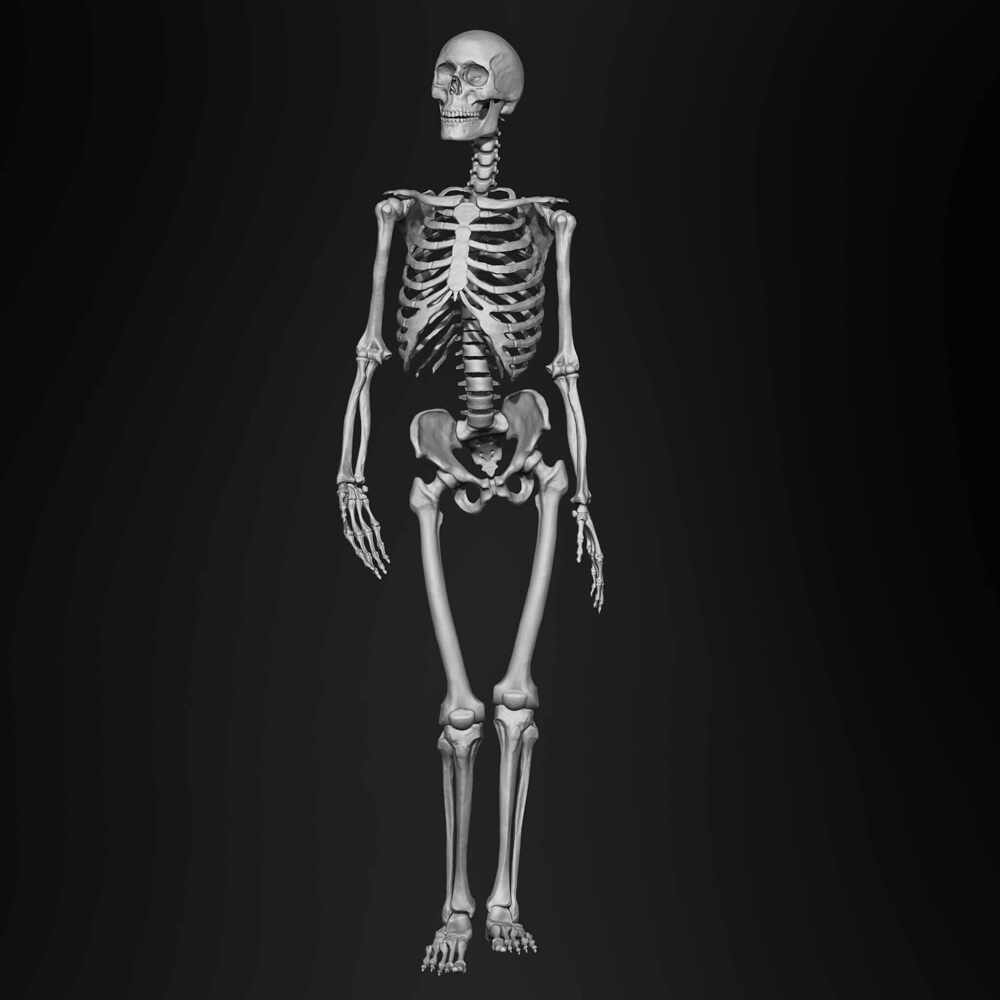 presentation skeleton