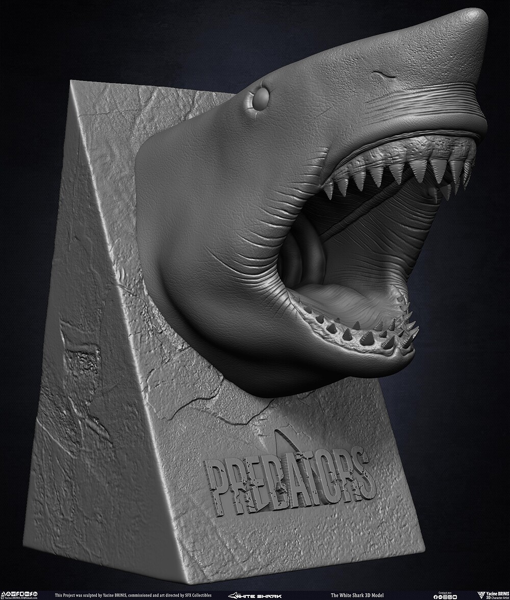 The White Shark Discovery sculpted by Yacine BRINIS 007