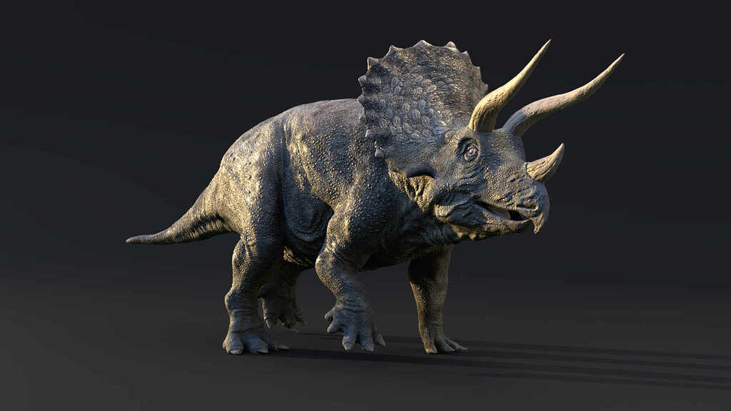 【新品未開封】TRICERATOPS/GOING TO THE MOON Amazon.co.jp: GOING TO THE MOON: ミュージック