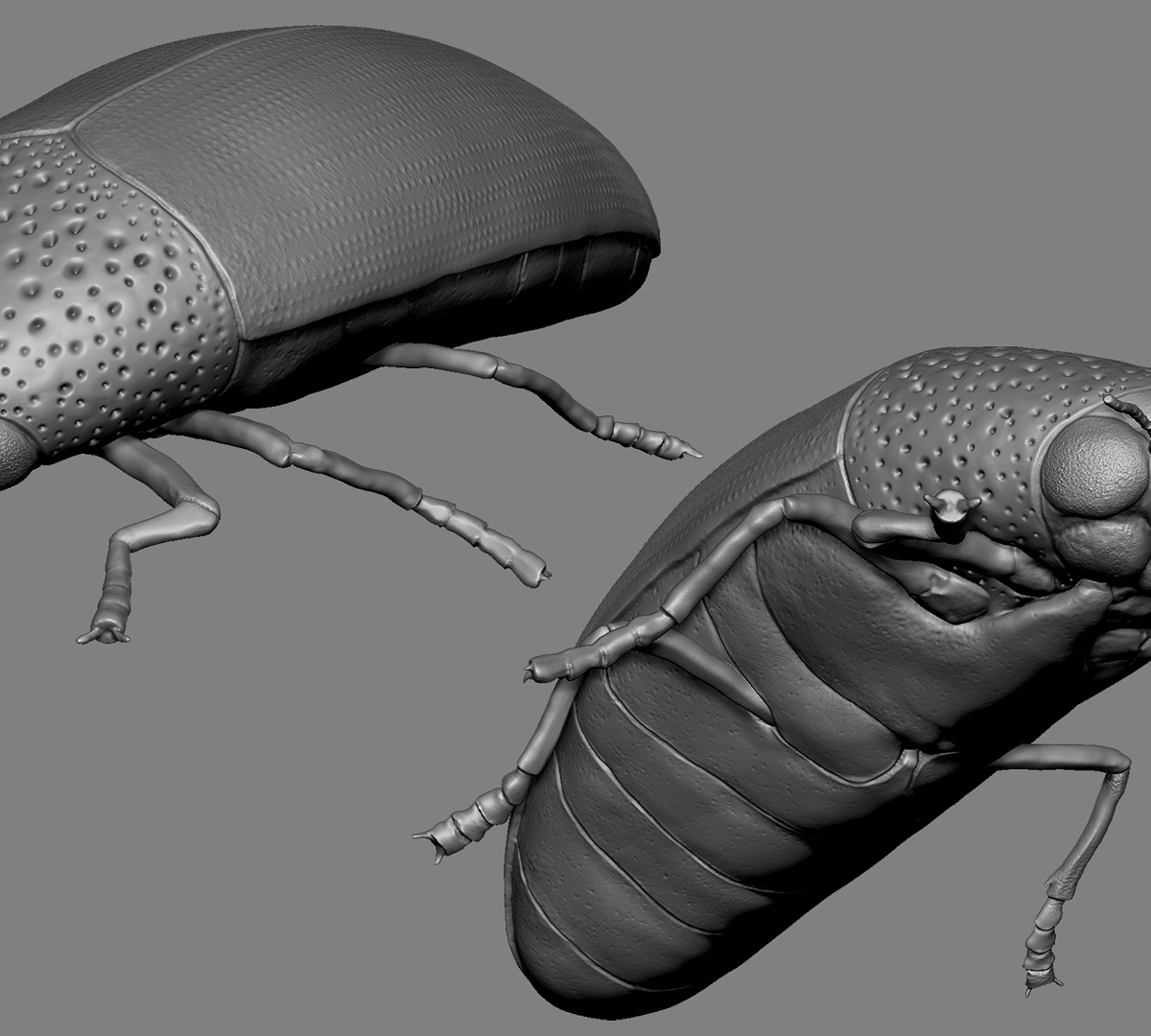 BeetleTwoP1P2.jpg