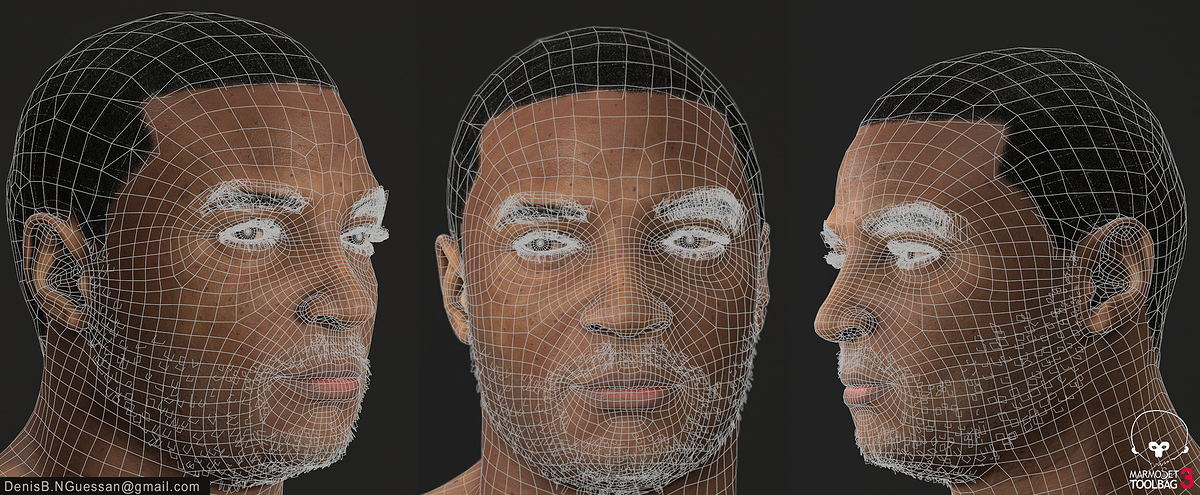 Face_Wireframe_Final